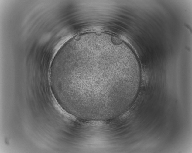 X0000102401090200808221842