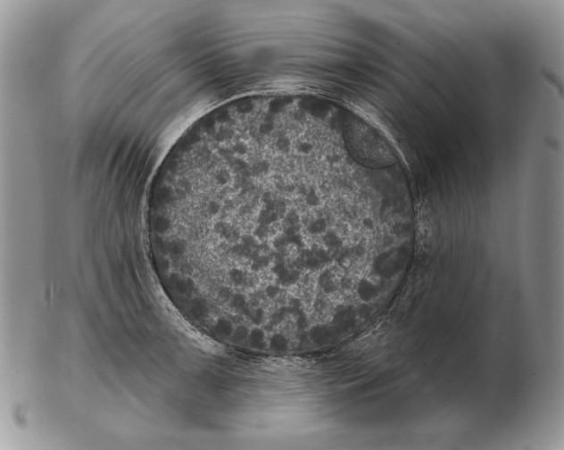 X0000102401091200808221842