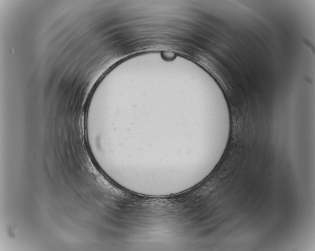 X0000102401092200808221842