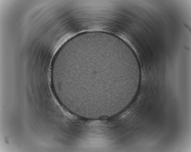 X0000102401093200808221842