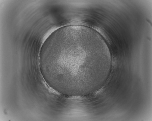 X0000102401094200808221842