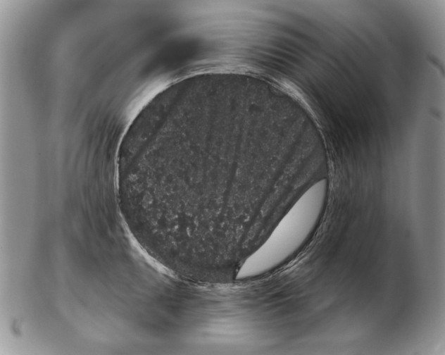 X0000102401095200808221842