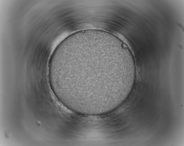 X0000102401096200808221842