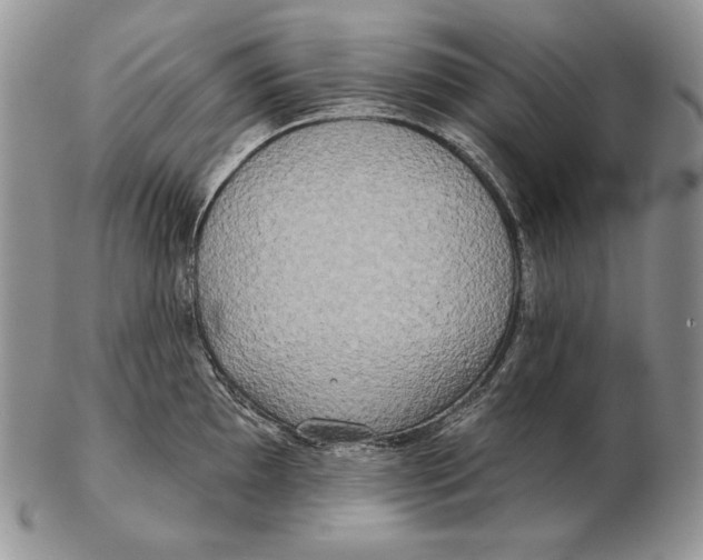 X0000102401097200808221842