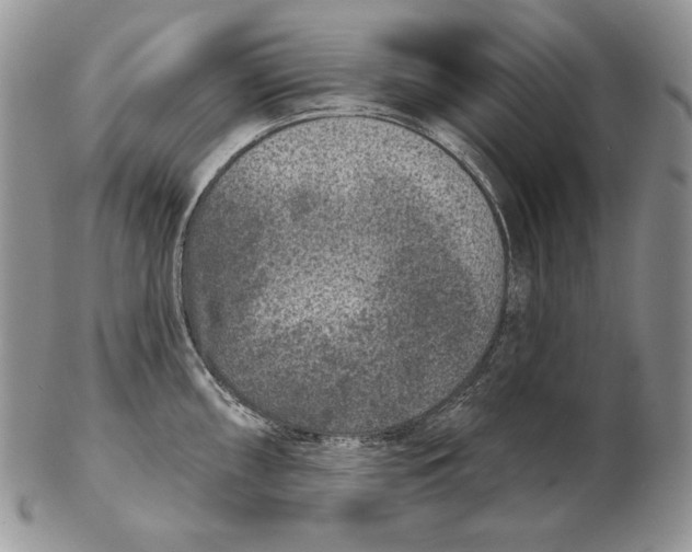 X0000102401098200808221842