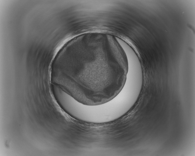 X0000102401099200808221842