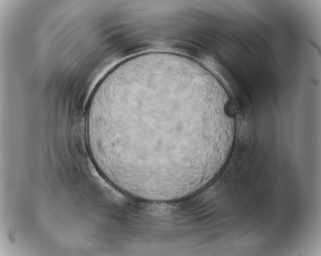 X0000102401100200808221842