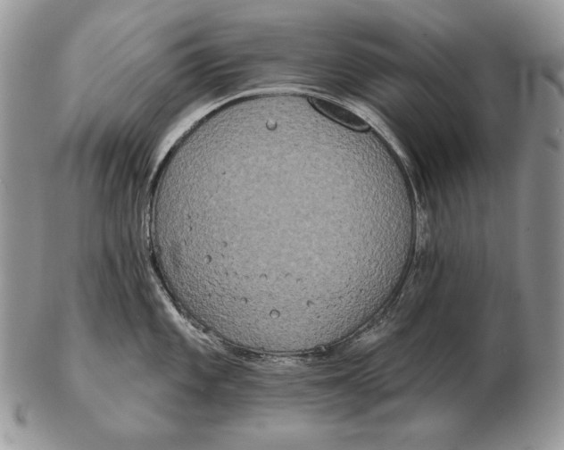 X0000102401101200808221842