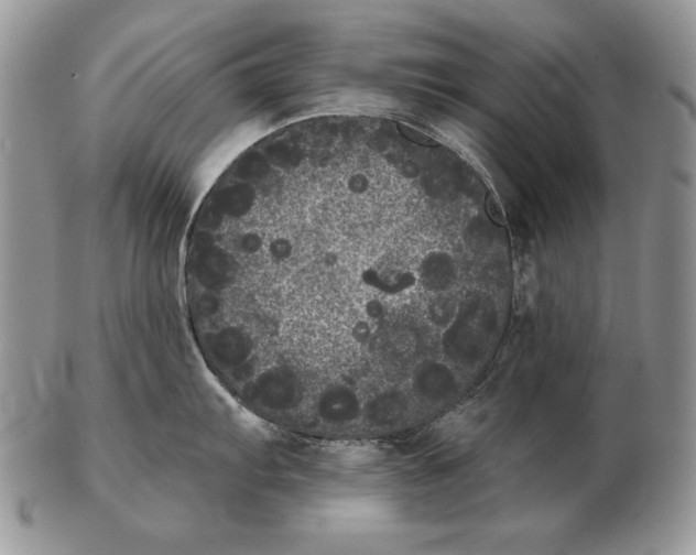 X0000102401103200808221842