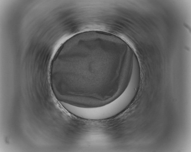 X0000102401104200808221842