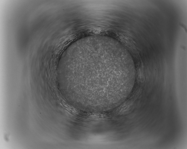 X0000102401105200808221841