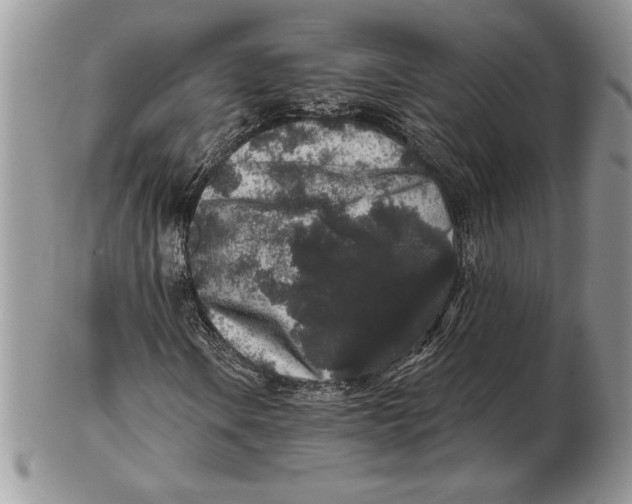 X0000102401106200808221841