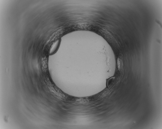 X0000102401107200808221841