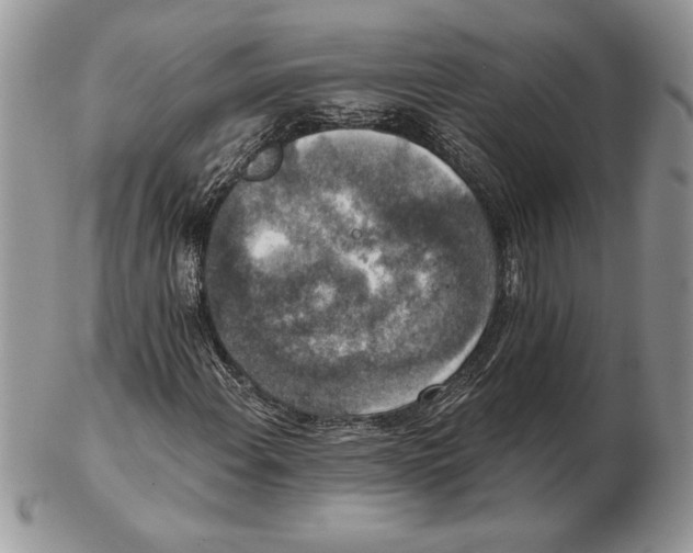 X0000102401108200808221841