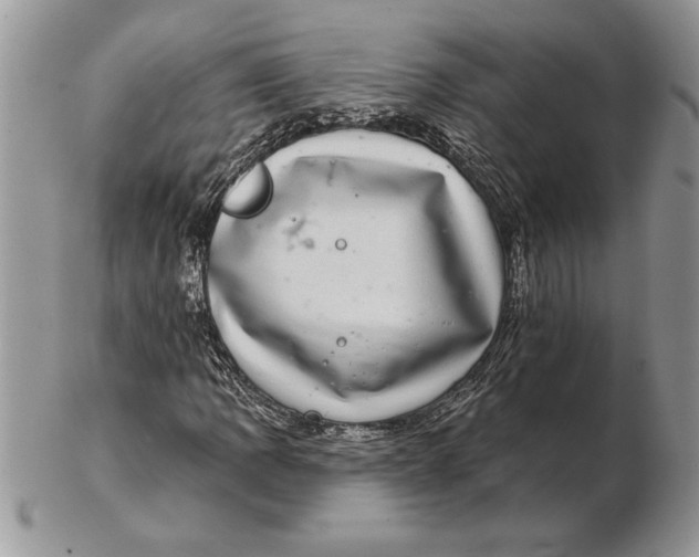 X0000102401109200808221841