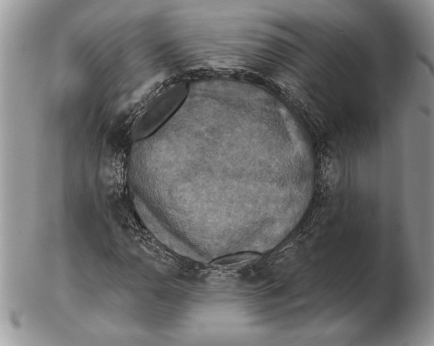 X0000102401110200808221841