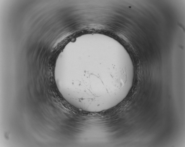 X0000102401112200808221841