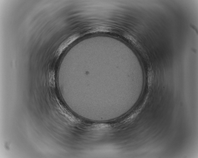 X0000102401113200808221841