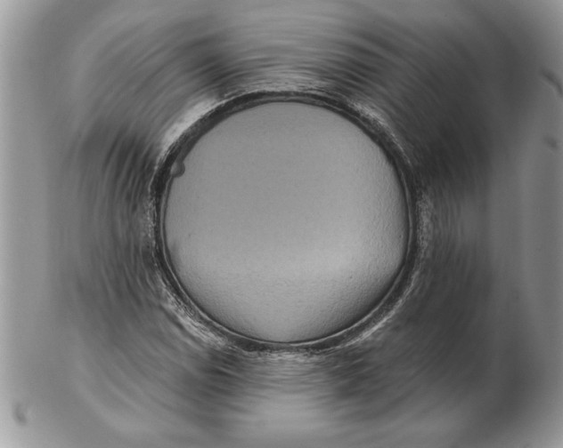 X0000102401114200808221841