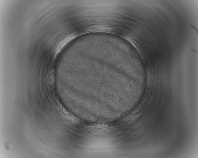 X0000102401115200808221841