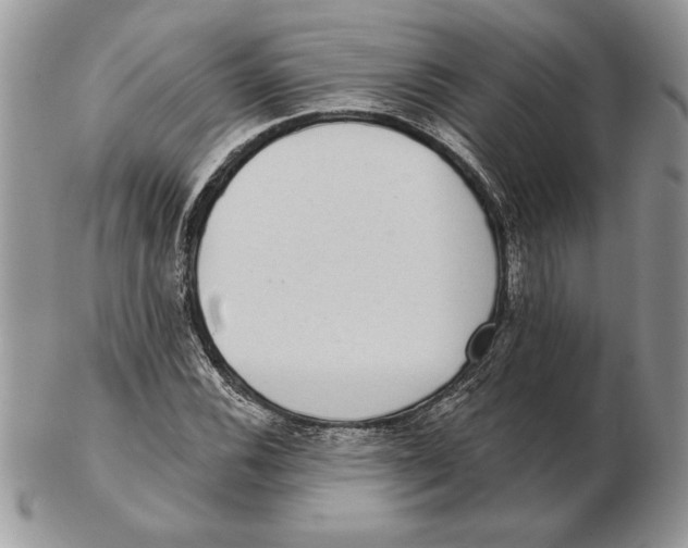 X0000102401116200808221841