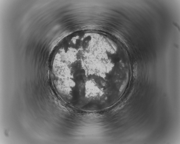 X0000102401117200808221841