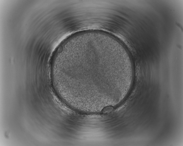 X0000102401118200808221841