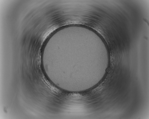 X0000102401119200808221841