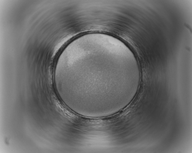 X0000102401120200808221841