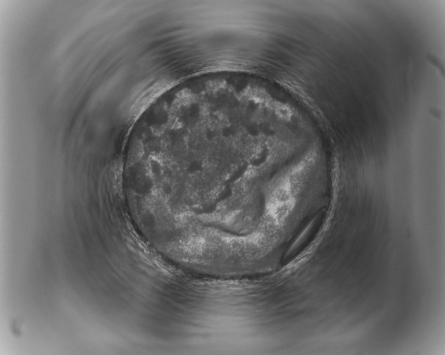 X0000102401121200808221841