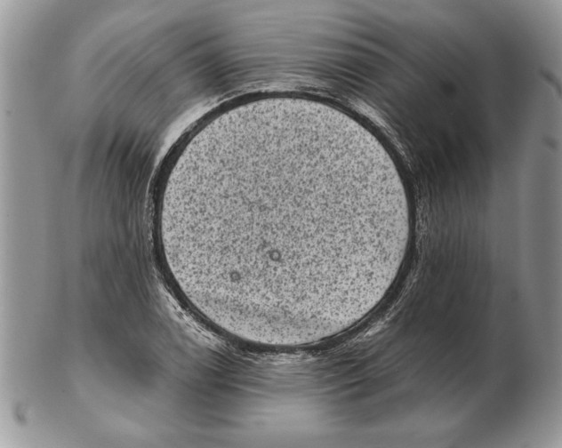 X0000102401122200808221841