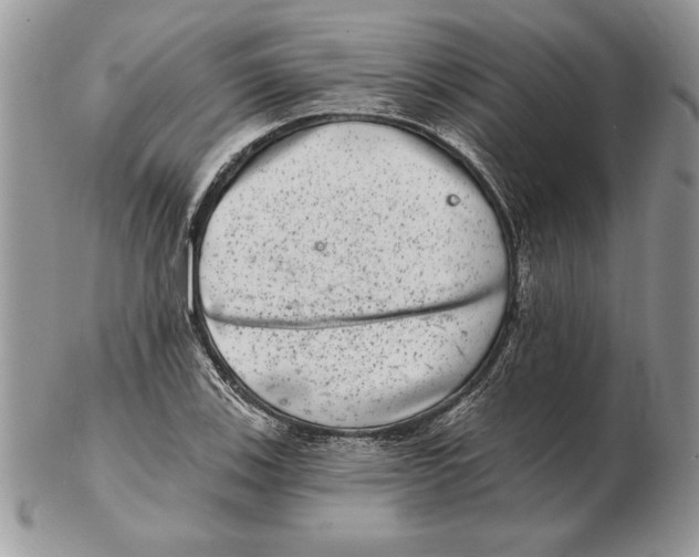 X0000102401123200808221841