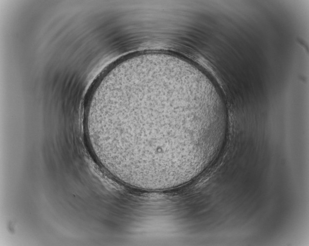 X0000102401124200808221842