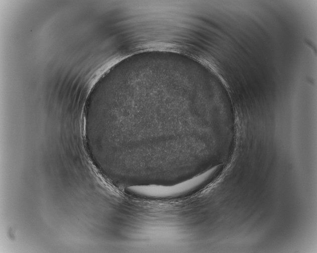 X0000102401125200808221842