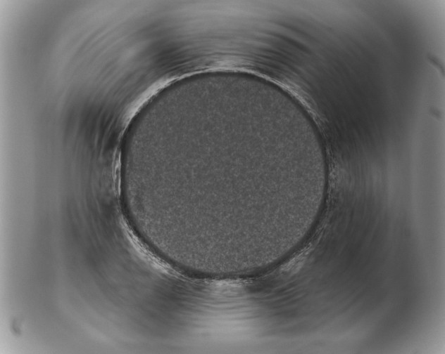 X0000102401126200808221842