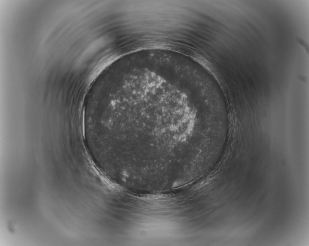 X0000102401127200808221842