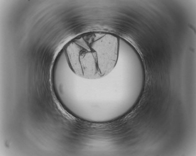 X0000102401128200808221842