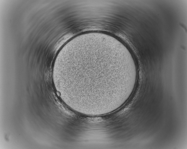 X0000102401129200808221842