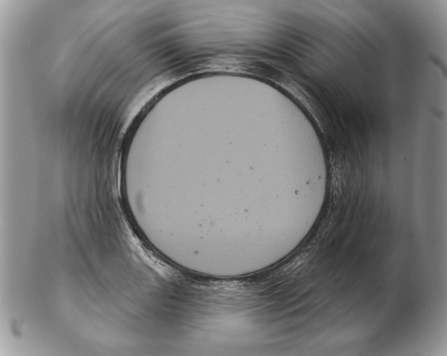 X0000102401131200808221842