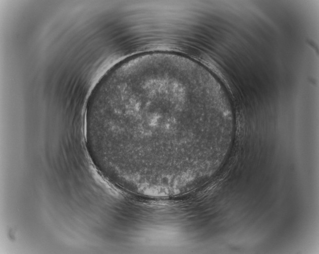 X0000102401132200808221842