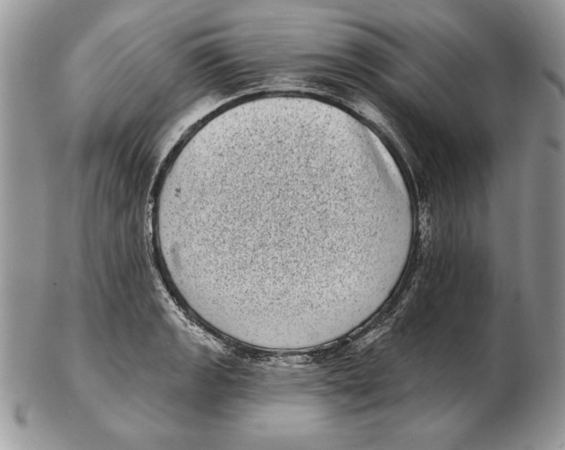 X0000102401133200808221842