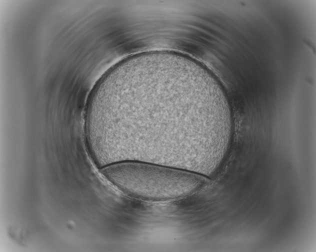 X0000102401134200808221842