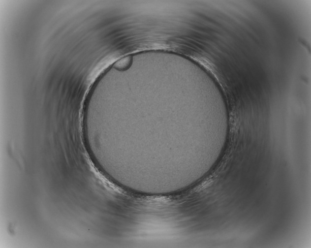 X0000102401135200808221842