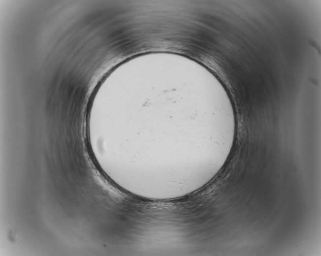 X0000102401136200808221842