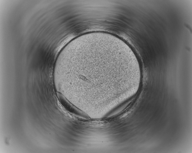 X0000102401137200808221842