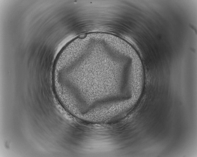 X0000102401138200808221842