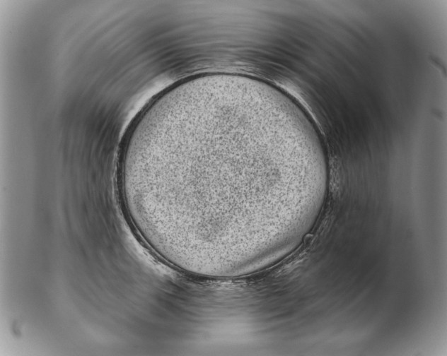 X0000102401139200808221842