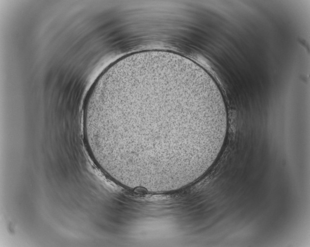 X0000102401140200808221842