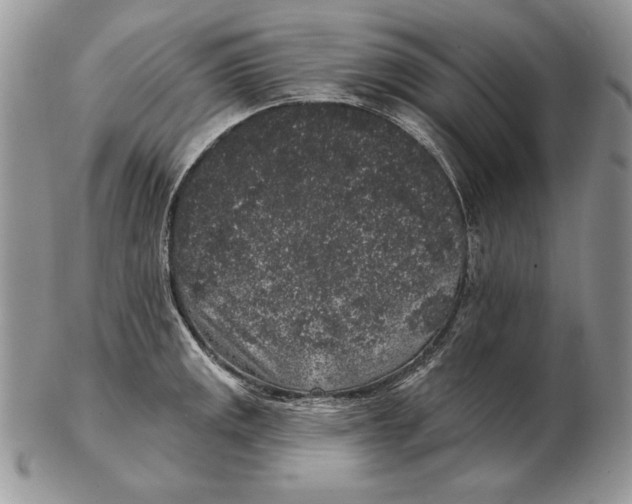 X0000102401141200808221842