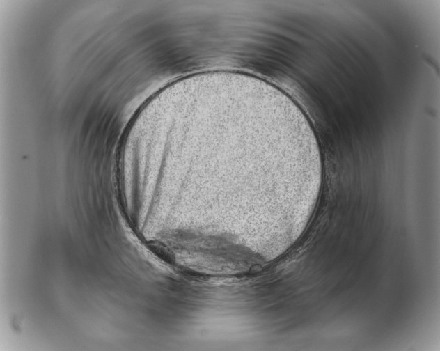 X0000102401142200808221842